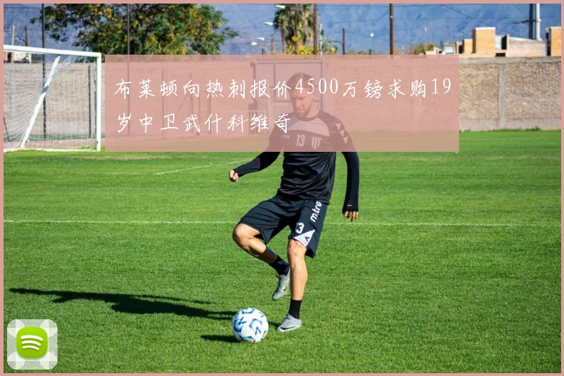 布莱顿向热刺报价4500万镑求购19岁中卫武什科维奇